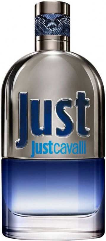 Roberto Cavalli Just Cavalli Him 2013 eau de toilette 90 ml