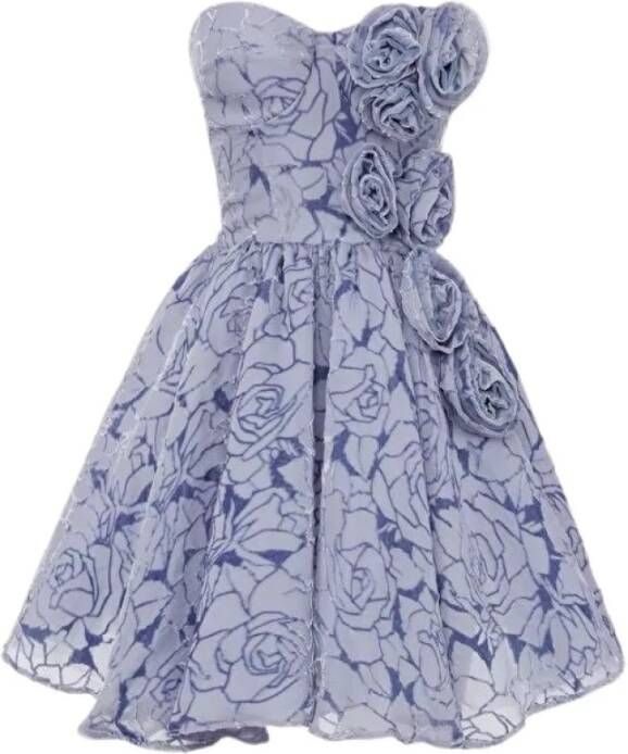 Elisabetta Franchi Feestjurk voor gelegenheid , Grijs, Dames