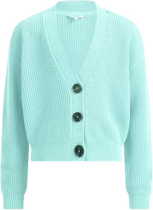 WE Fashion vest mintgroen